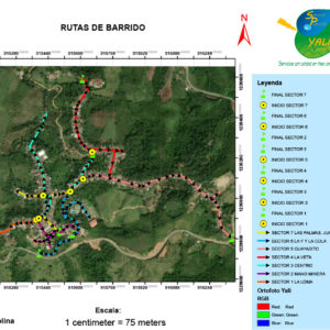 RUTAS DE BARRIDO